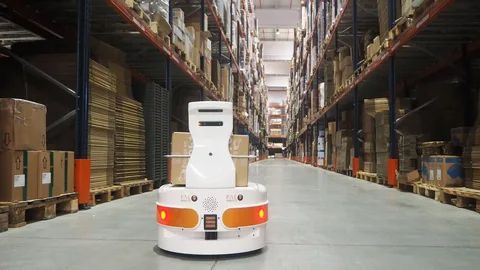 Everything You Should Know About Autonomous Mobile Robots